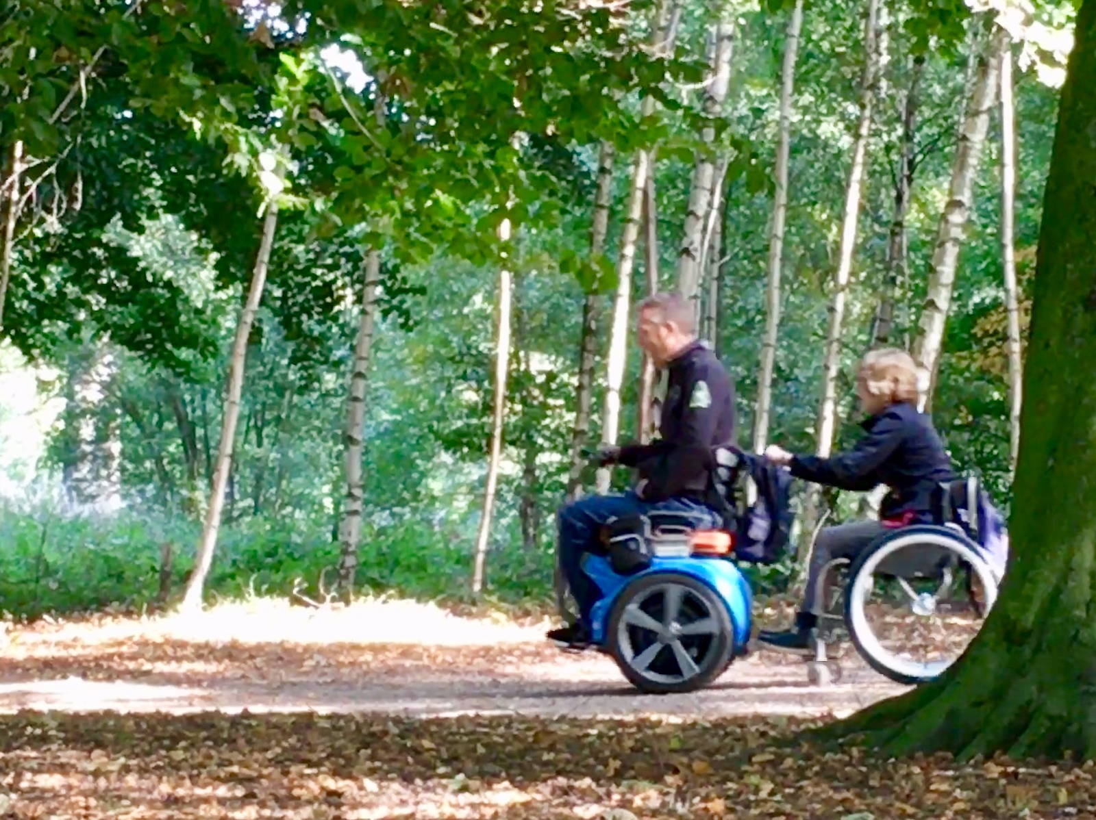 Schaffelaarsebos check